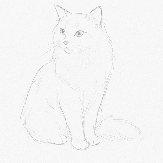Graphite Gallery – G2 Soft Shadow (GG-G2)